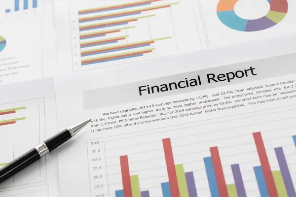 What is Financial Reporting