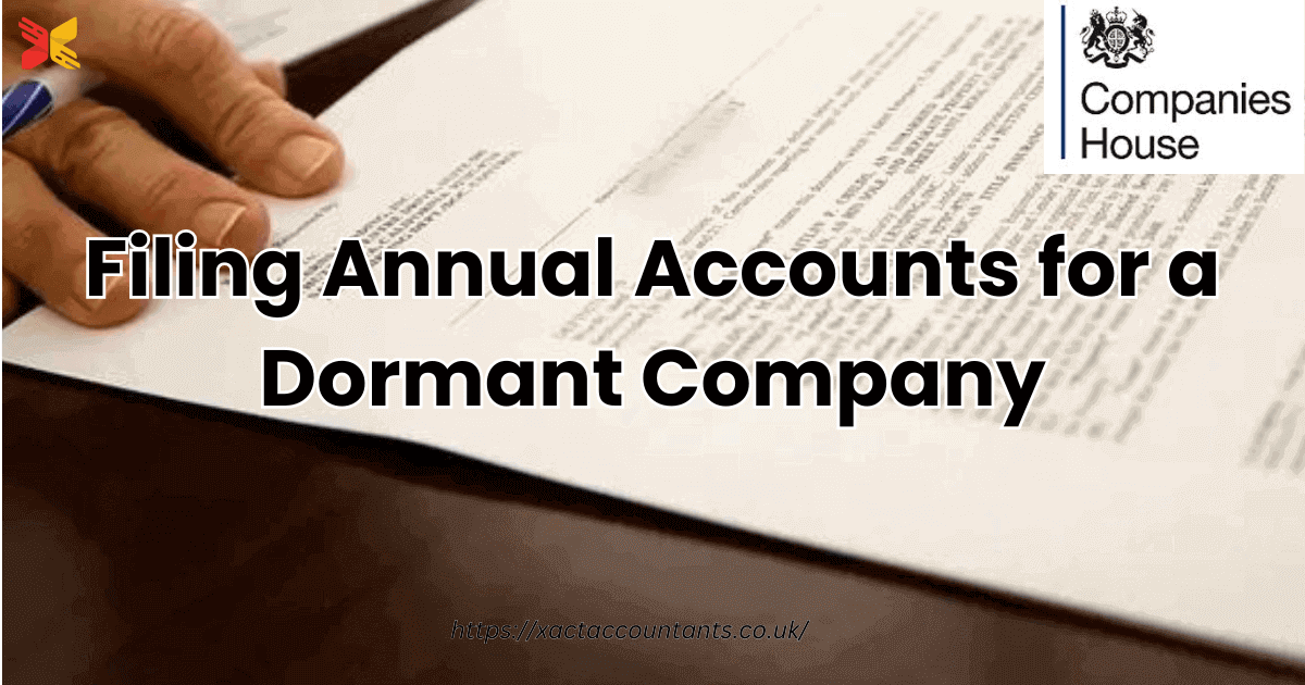 Filing Annual Accounts for a Dormant Company