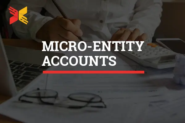 micro-entity accounts