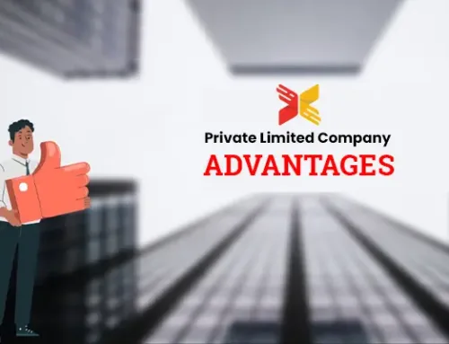 Private Limited Company: Advantages, Liability & Credibility