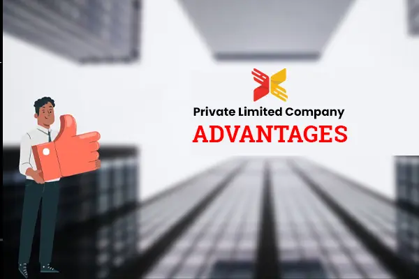 private limited company