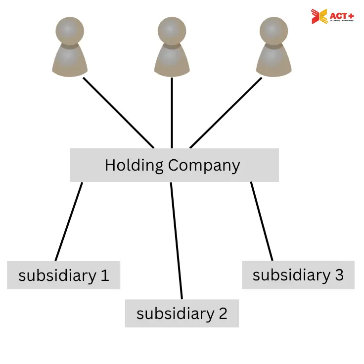 Holding Company subsidiaries